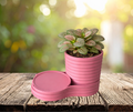 Coaster Planter
