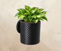 Weave Wall Planter