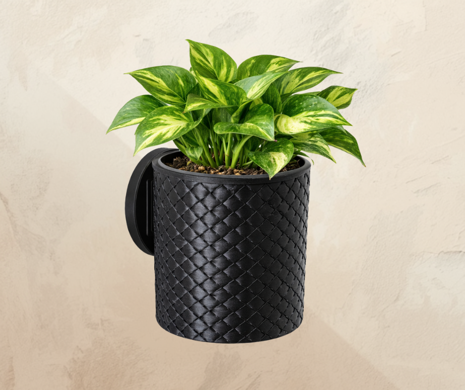Weave Wall Planter